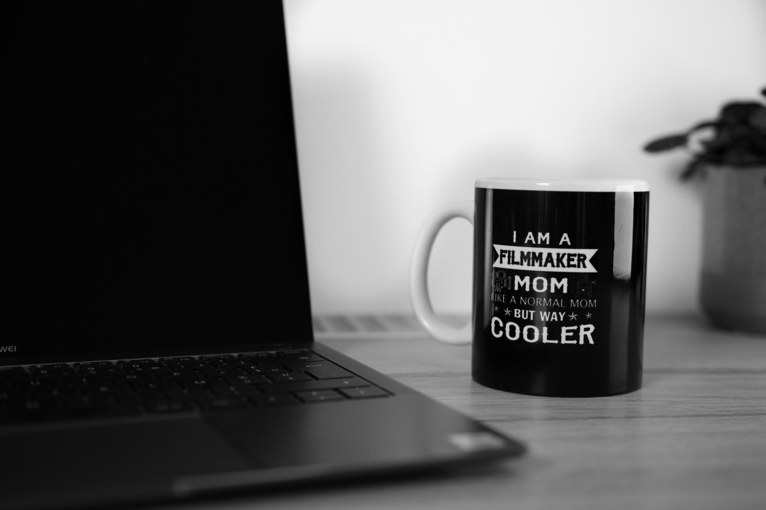 Rina Studio - Le studio